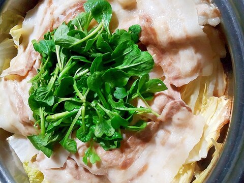 白菜豚肉の蒸し煮、抜き菜プラス